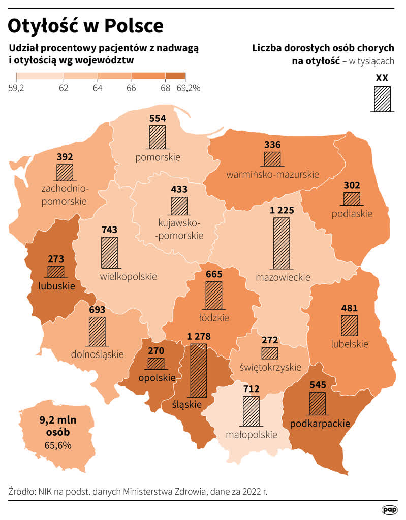 "Popełniamy dużo błędów dietetycznych". Otyłość coraz większym problemem 2 igrafika_20240229_06.png