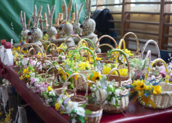 img 1037 2024 03 24 082455