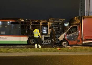 img 2028 2024 03 11 211901