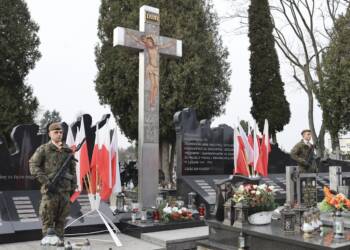 img 2048 2024 03 01 174058