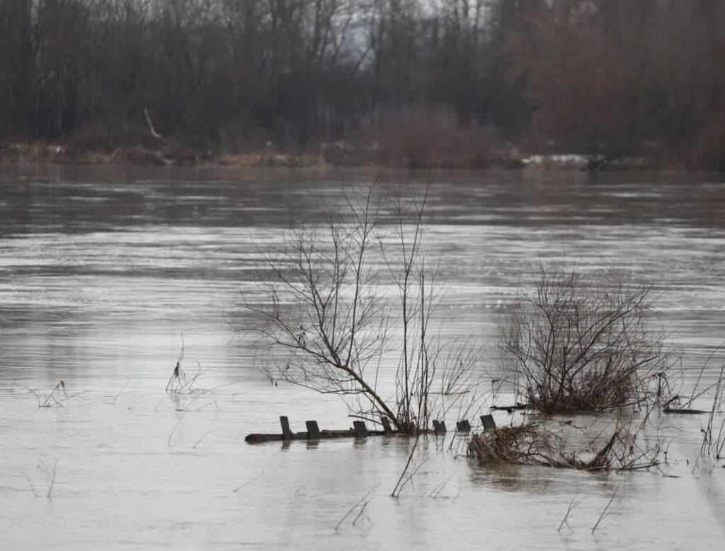 img 5999 2024 03 03 115227 2024 03 12 080841