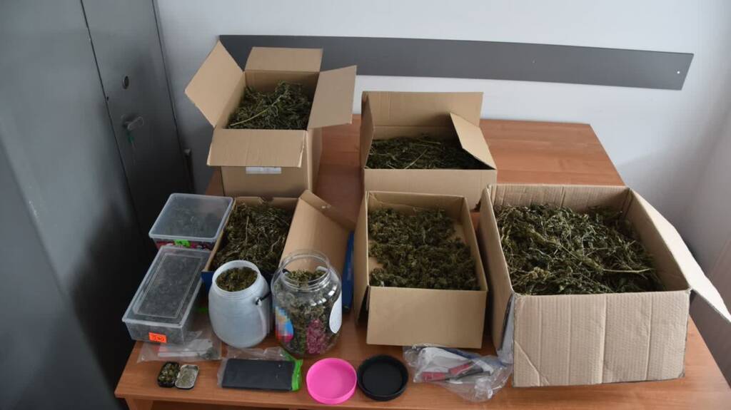 narko 2024 03 18 212136