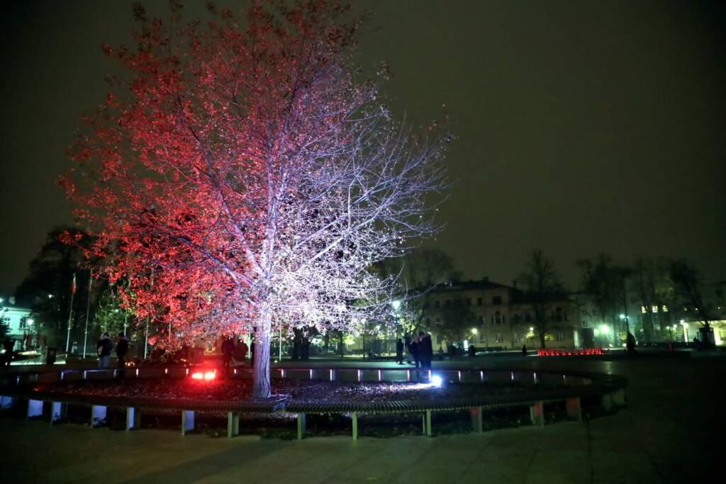 pm iluminacje 111123 024 2024 03 25 135711