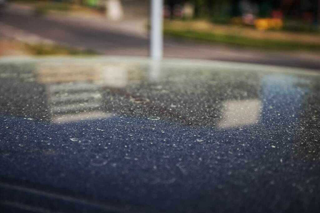 pyl 220523 004 2024 03 31 151119