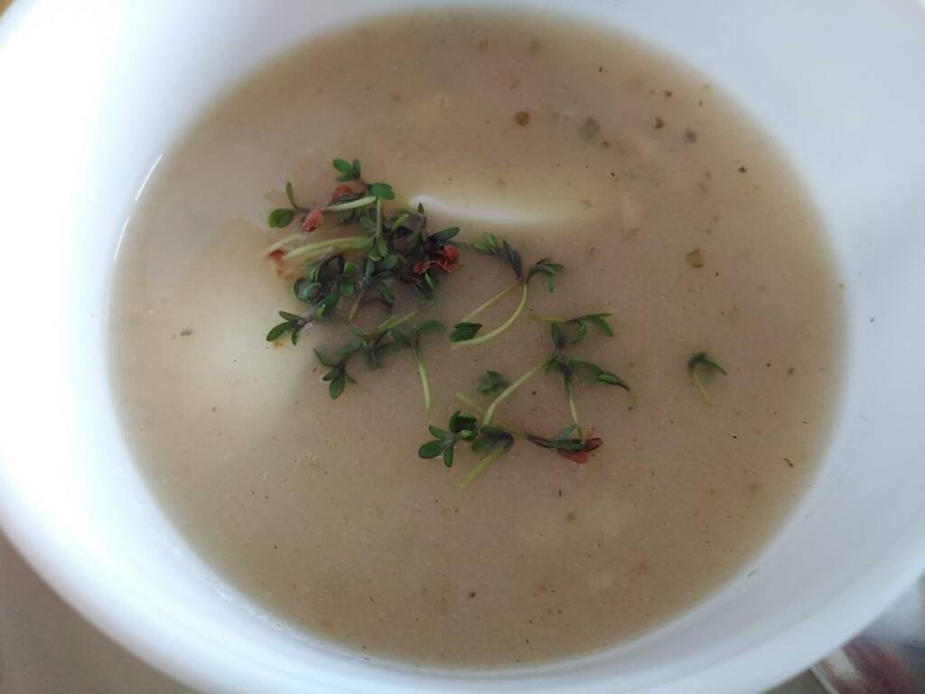 zurek 5158601 1280 2024 03 29 190548