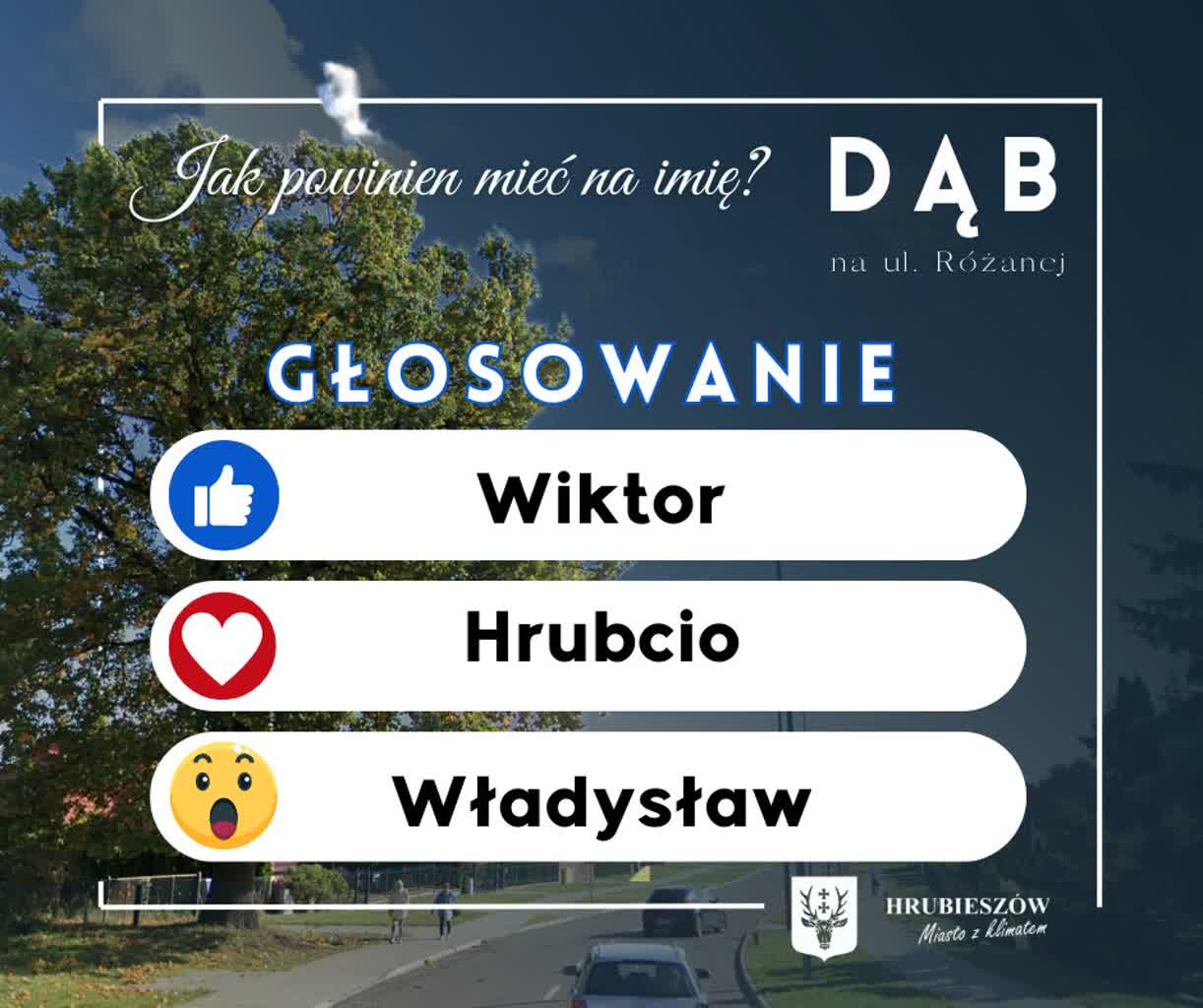 Hrubcio - dwustuletni dąb dostał imię 2 433873628_953831733292352_6894565644683811051_n.jpg