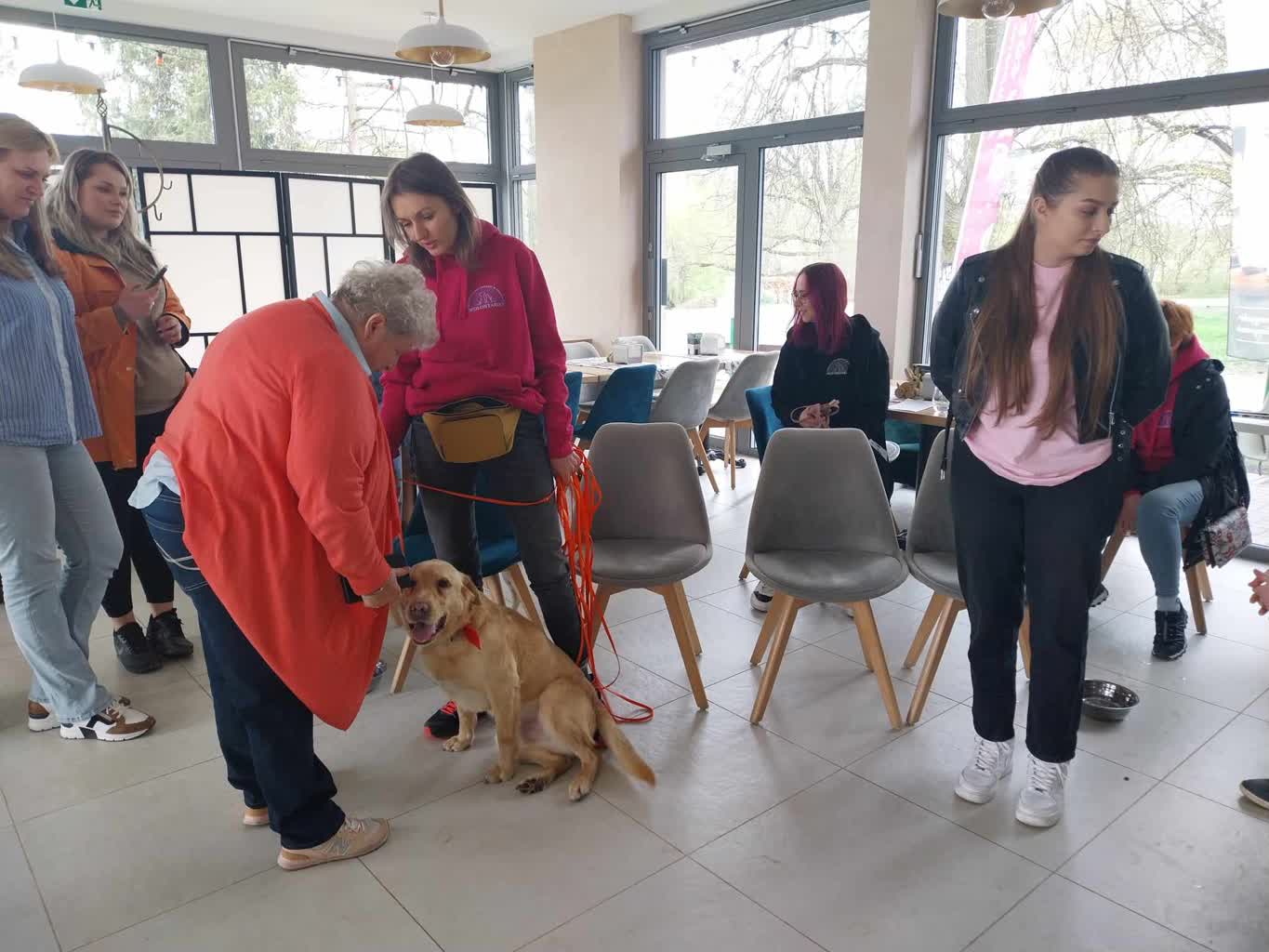 Uszyją gadżety z banerów wyborczych i je sprzedadzą. Dochód trafi do schroniska 2 434492956_380687268131519_1762664858097161834_n.jpg