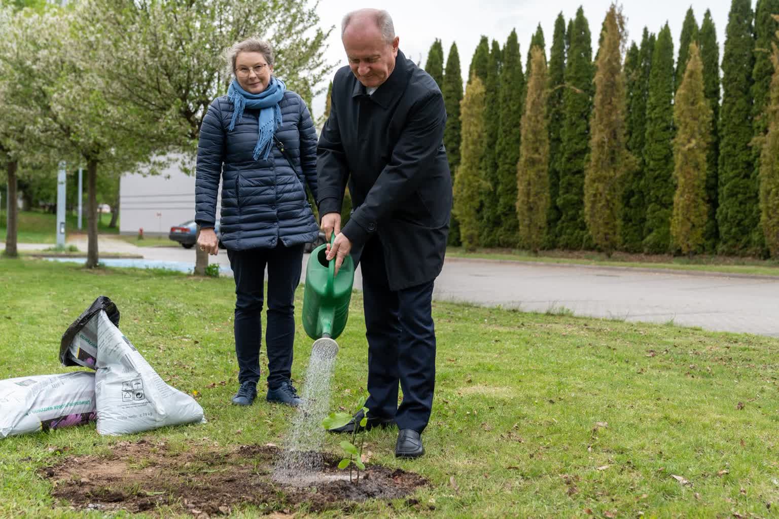 Magnolie na „Poczekajce". Tradycji stało się zadość 3 437566134_845860260914365_7247783712294668785_n.jpg