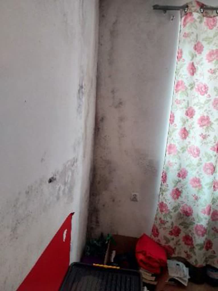 Biała Podlaska: wilgoć, zagrzybienie i ślimaki. Ponury obraz mieszkań komunalnych 3 46c12e3b-e883-4436-a7cc-d1333f389ab4.jpg