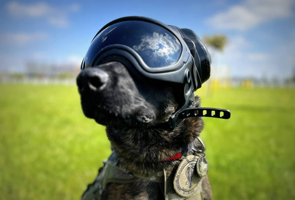 68 240421 g 2024 04 24 181613 2024 04 26 194836