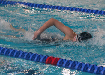 bq8v6595 2024 04 06 225553