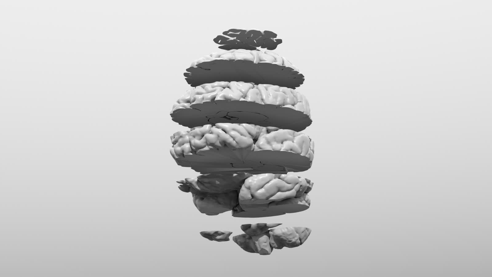 Uczelnia chcę pomóc studentom, więc... drukuje narządy 4 brain parts.JPG