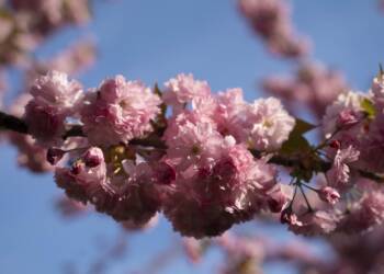 dsc03870 2024 04 30 103330