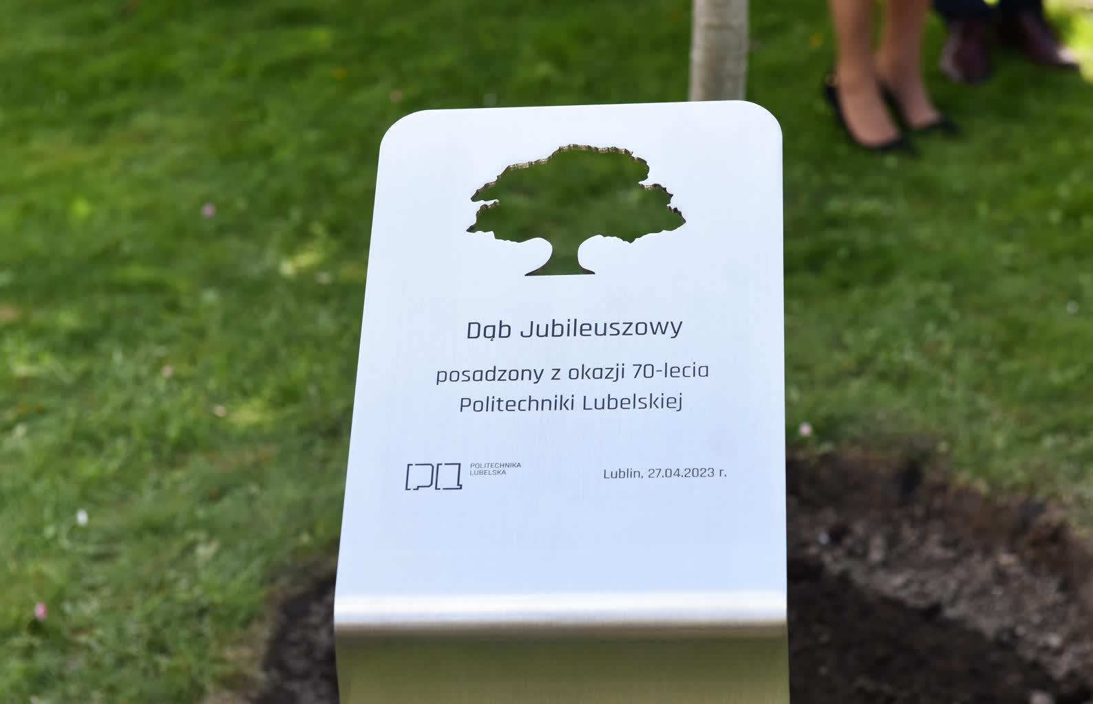 Jubileuszowy dąb potrzebuje nazwy. Uczelnia ogłosiła konkurs 2 dsc_3940-2023-04-27-122737.jpg