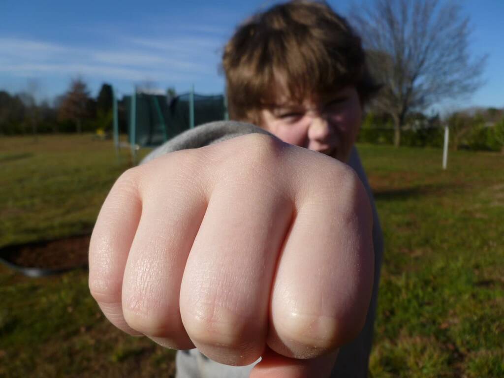 fist bump 933916 1280 2024 04 26 062142