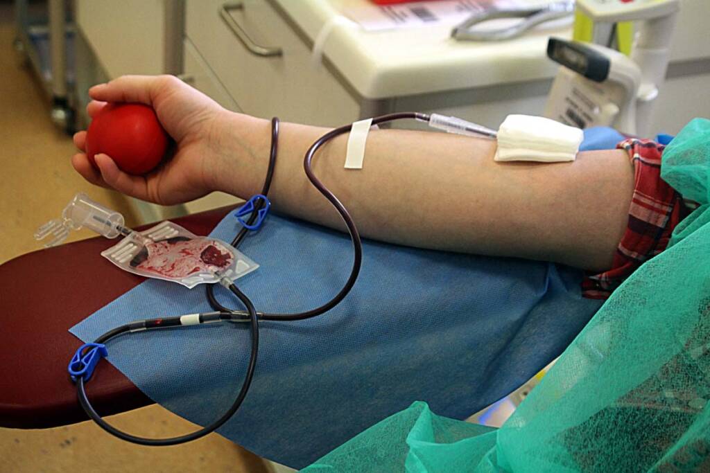 img 0604 2024 04 09 082114