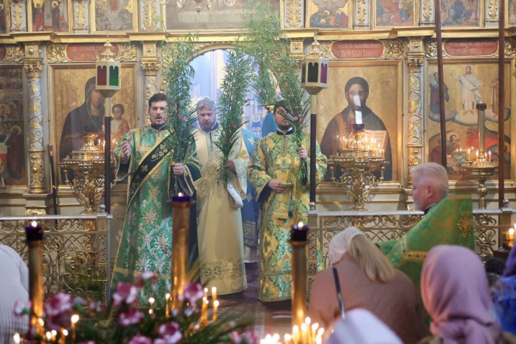 pm palmowa 280424 007 2024 04 28 142005