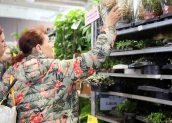 pm rosliny 130424 025 2024 04 13 180512