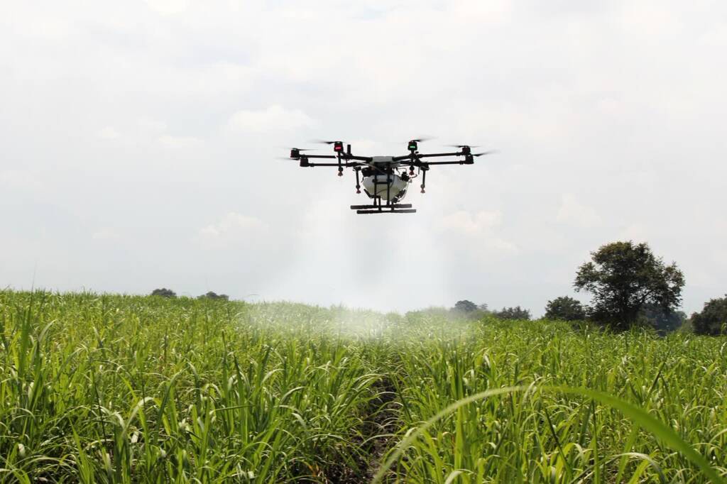 spraying sugar cane 2746350 1280 2024 04 15 132459