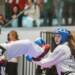 taekwondo 1 2024 04 20 165210