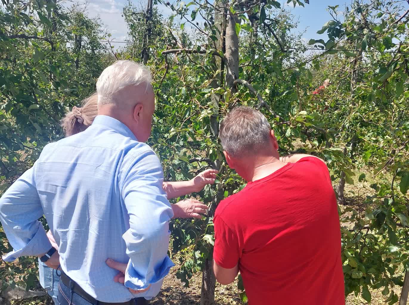 „Kluczowe jest szybkie oszacowanie wszystkich strat”. Jacek Czerniak spotkał się z plantatorami 2 20240521_125246.jpg