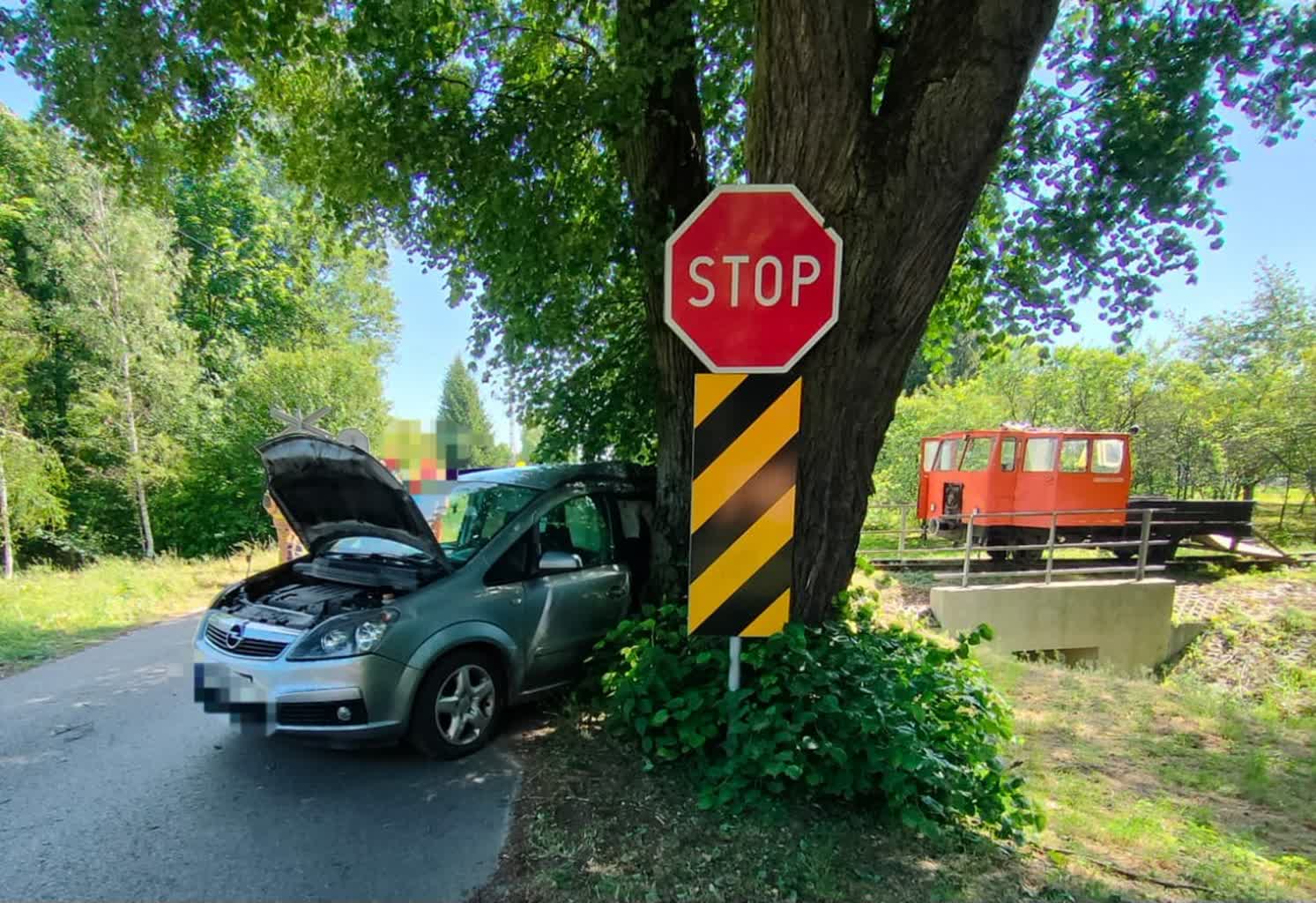 Śmiertelne zderzenie z łosiem. Utrudnienia na drodze krajowej 4 353-241862.jpg