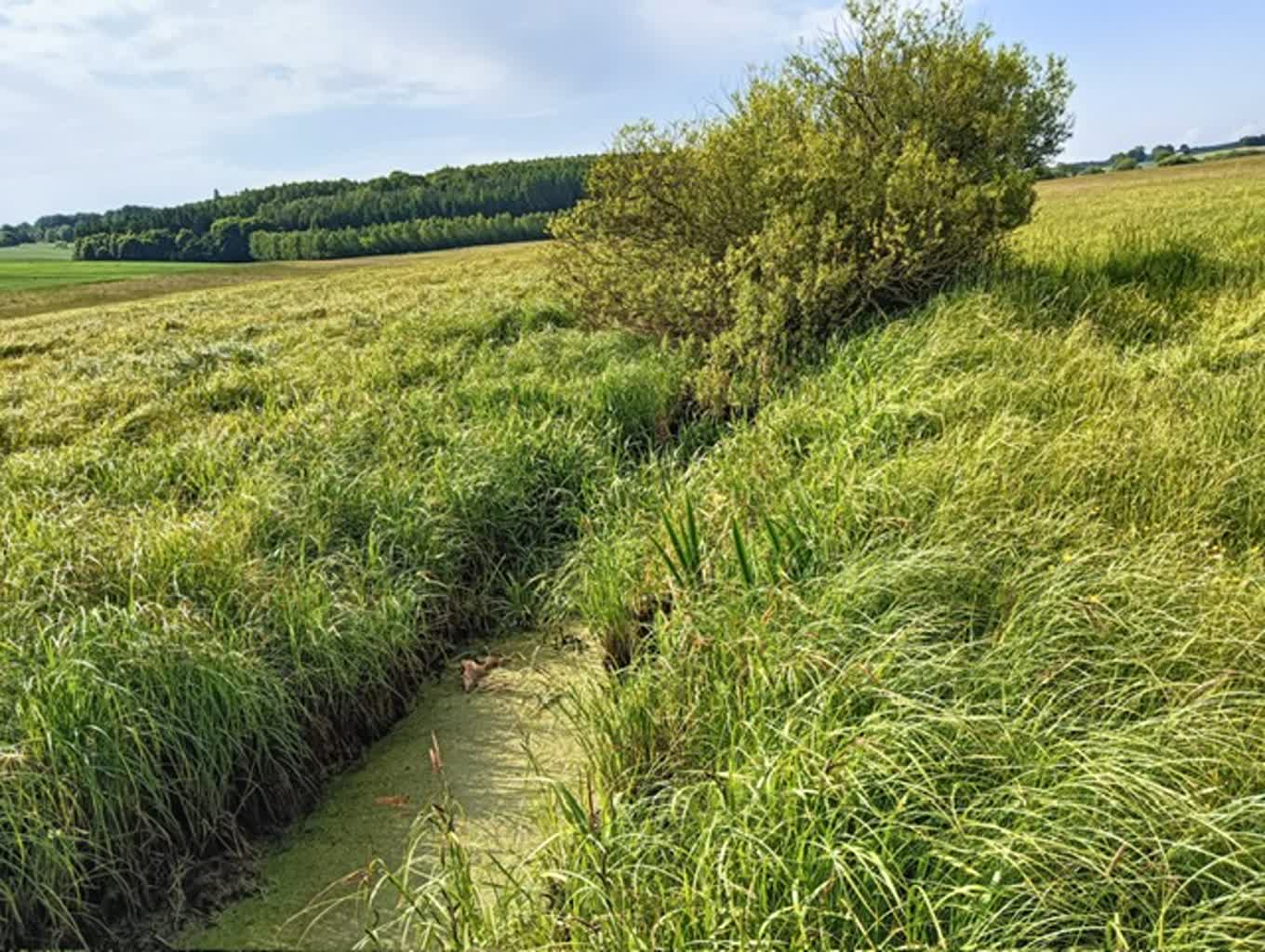 Pocisk w rowie. Kolejne niebezpieczne znalezisko w regionie 2 359-242317_2.jpg