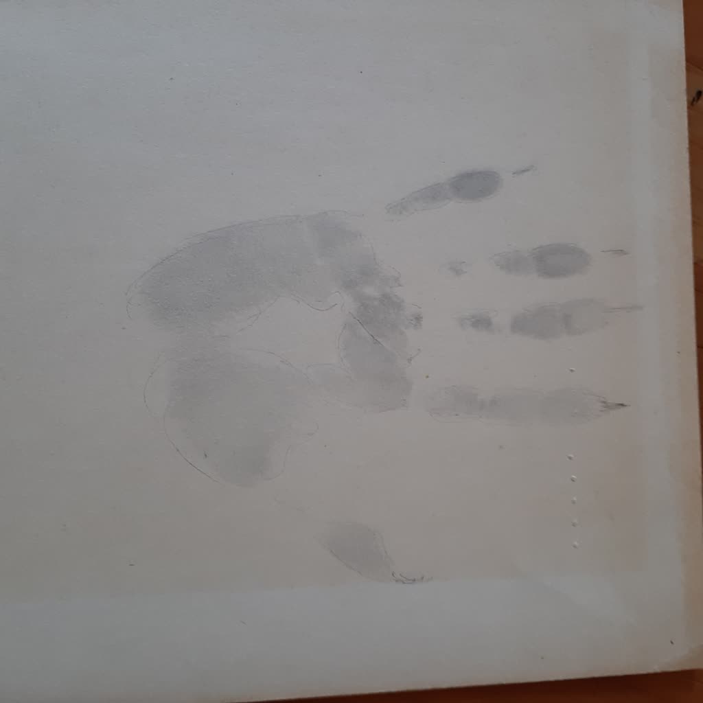 19.05.2024 Magda Grydniewska "Gdzie jest Czarcia Łapa?" 3 69d240a9-d293-4097-9feb-1ae40e679639.jpg