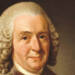 carl von linne 2024 05 23 061712
