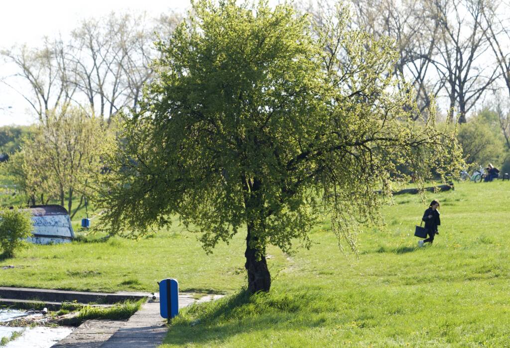 cc1334ad 204c 4106 88b0 c10c96f8bc79 2024 05 26 144449