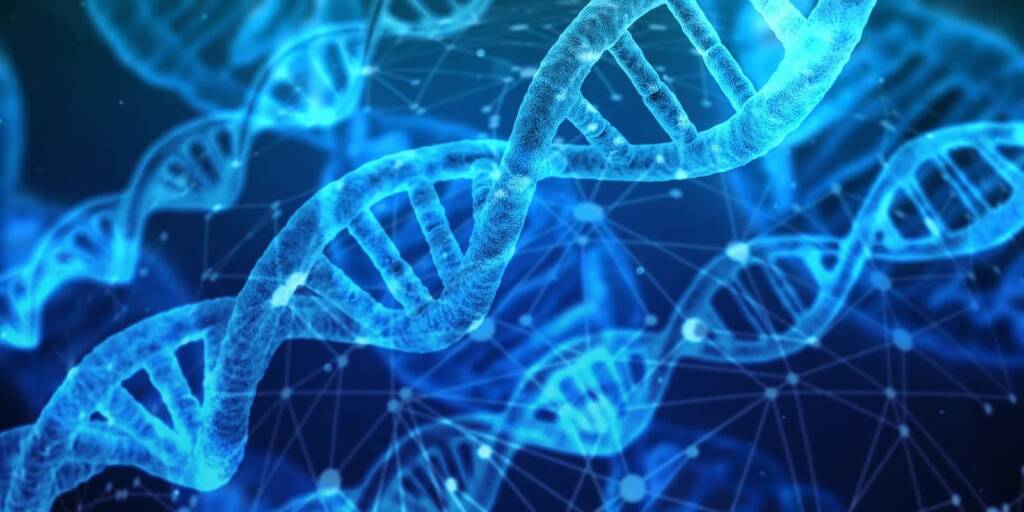 dna 3539309 1280 2024 05 21 081127