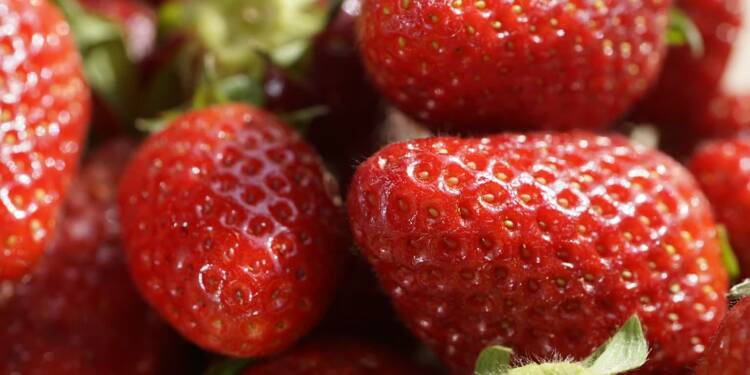 fresh strawberries 7191555 1280 2024 05 26 193455