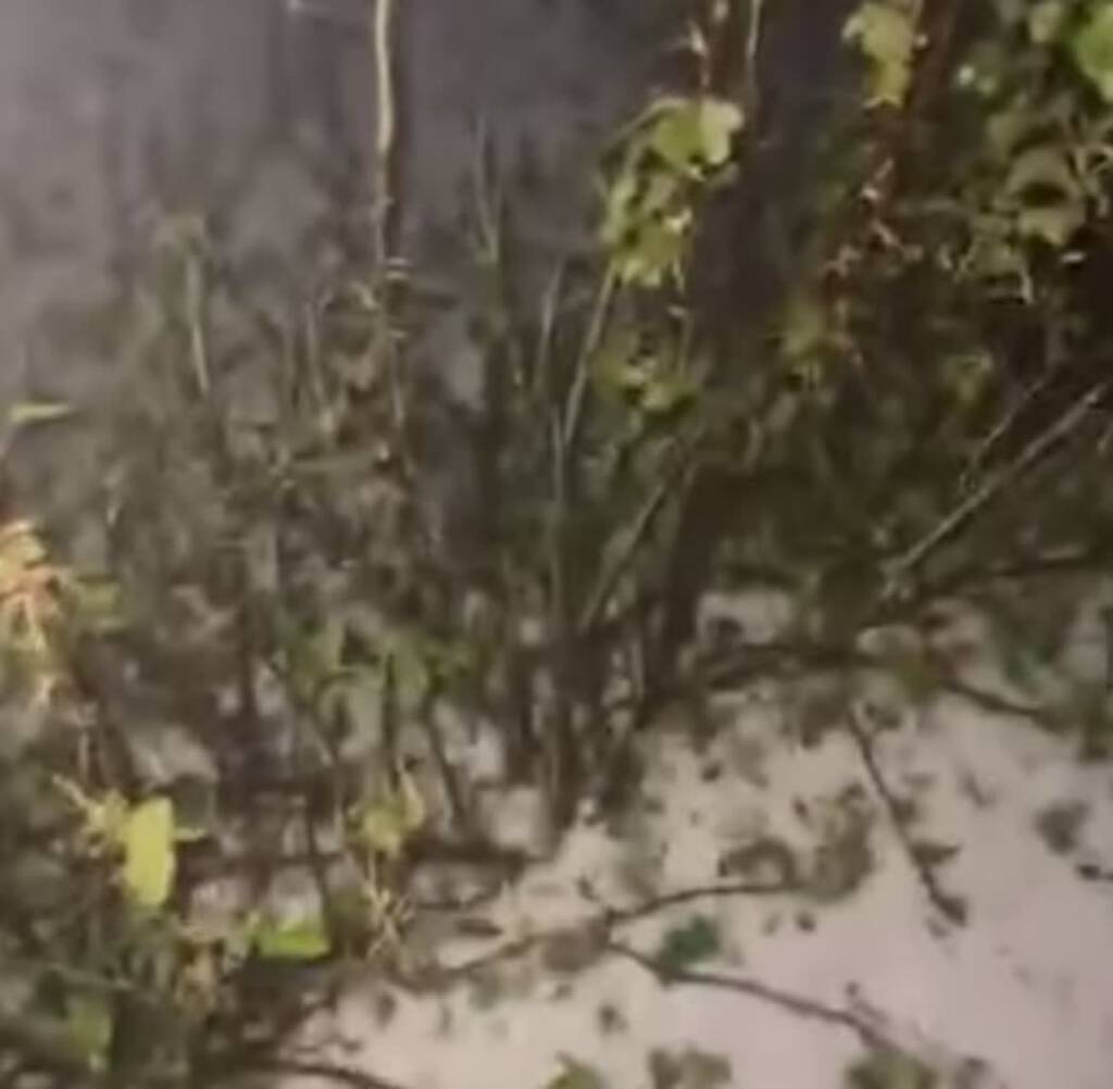 grad 2024 05 20 075220