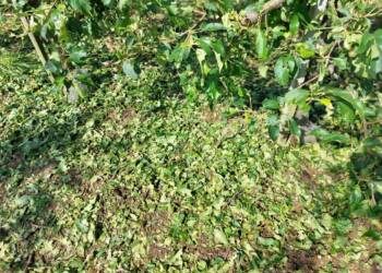 img 20240520 wa0002 2024 05 21 191427