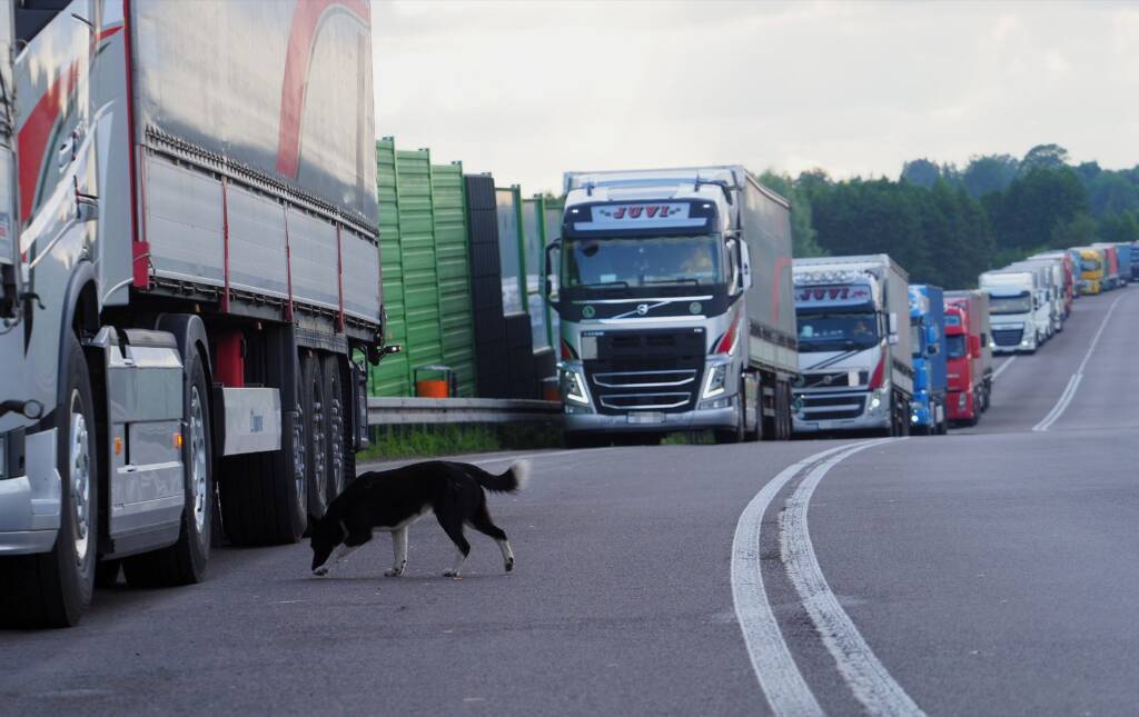 img 20210704 214618 2024 05 26 101707