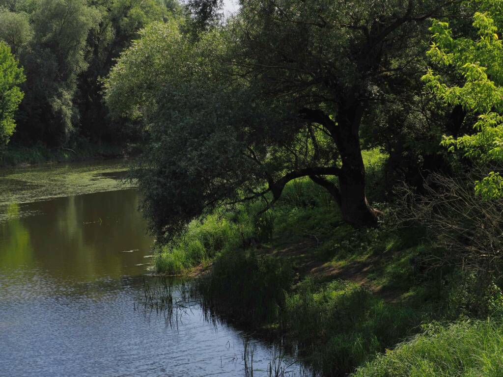 img 20210710 004232 2024 05 22 104426