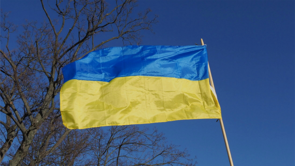 img 20220224 164930 2024 05 08 152109