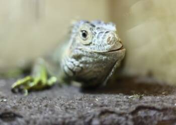 img 7442 2024 05 26 195859