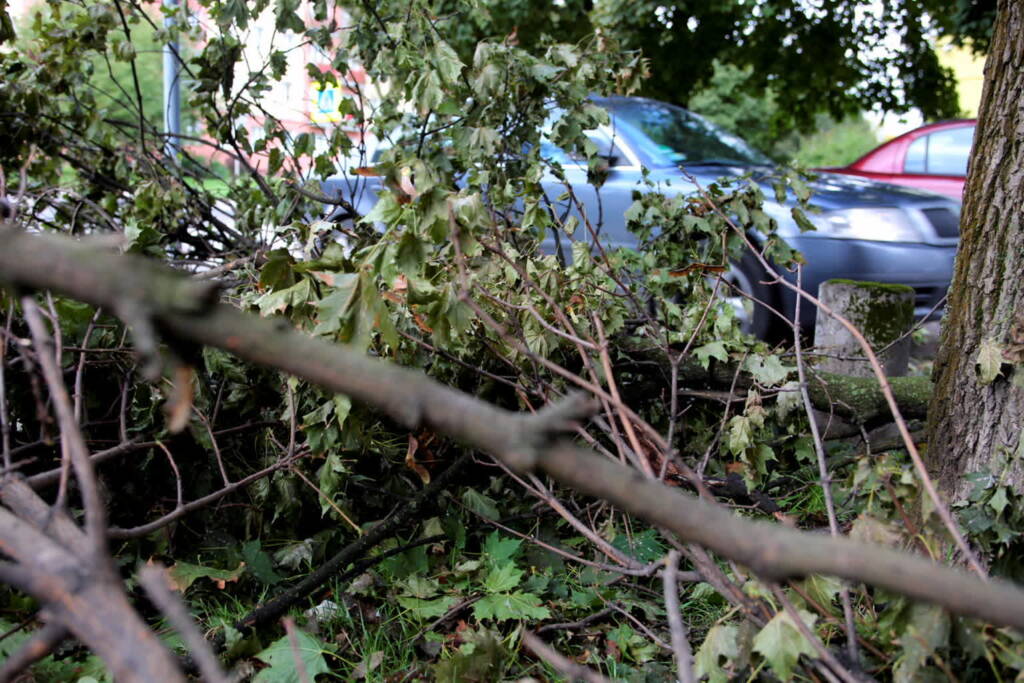 pm wichura012 2022 02 19 194902 2023 07 18 072121 2024 05 26 080148