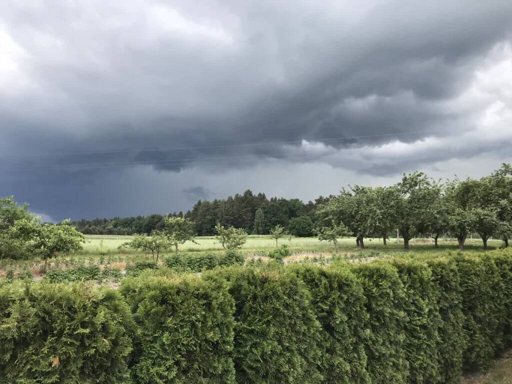 436744780 844252114261518 1870802076859319376 n 2024 06 03 141029