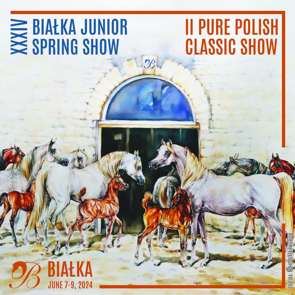 Hodowcy i miłośnicy koni arabskich spotykają się Białce 2 447297035_976041270975139_2491557520229799337_n.jpg