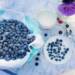 blueberries 1576409 1280 2024 06 28 191155