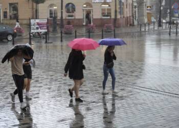 img 9174 2024 06 03 065442