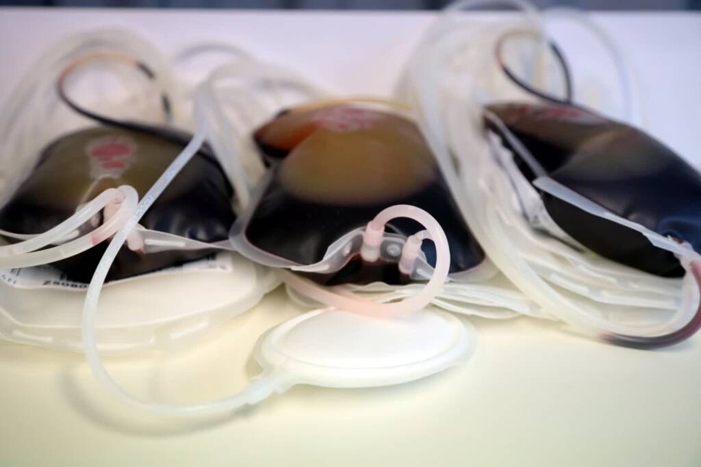 pm krew 101123 012 2024 06 14 142538