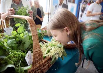 pm piknik 05 624 010 2024 06 05 183400