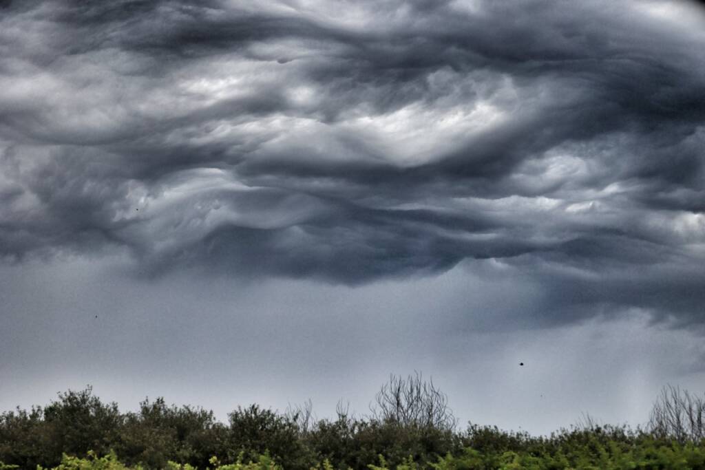 pm szkwal 170723 005 2024 06 01 173009