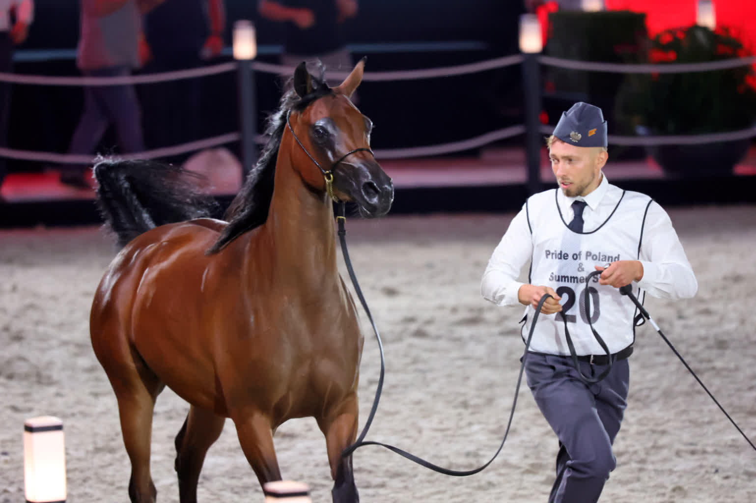 15 klaczy i 3 ogiery. Aukcja Pride of Poland już niebawem 3 PRIDE-130823-039.JPG