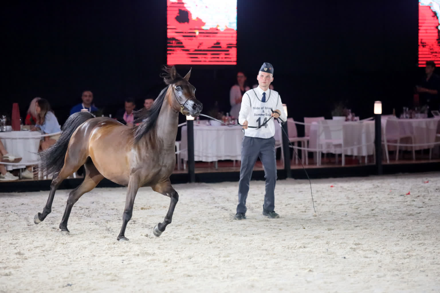 Pride of Poland. Janowska stadnina przygotowuje się do słynnej aukcji 2 PRIDE-130823-110.JPG