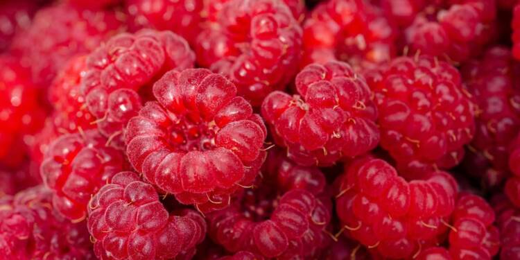 raspberries 7313700 1280 2024 06 06 210338