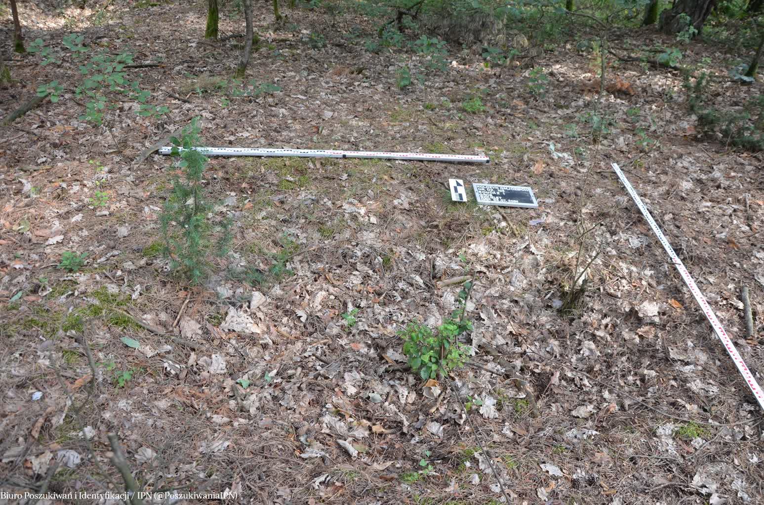 IPN odnalazł prawdopodobnie szczątki rodziny zamordowanej za ukrywanie Żydów 3 103-69444.jpg